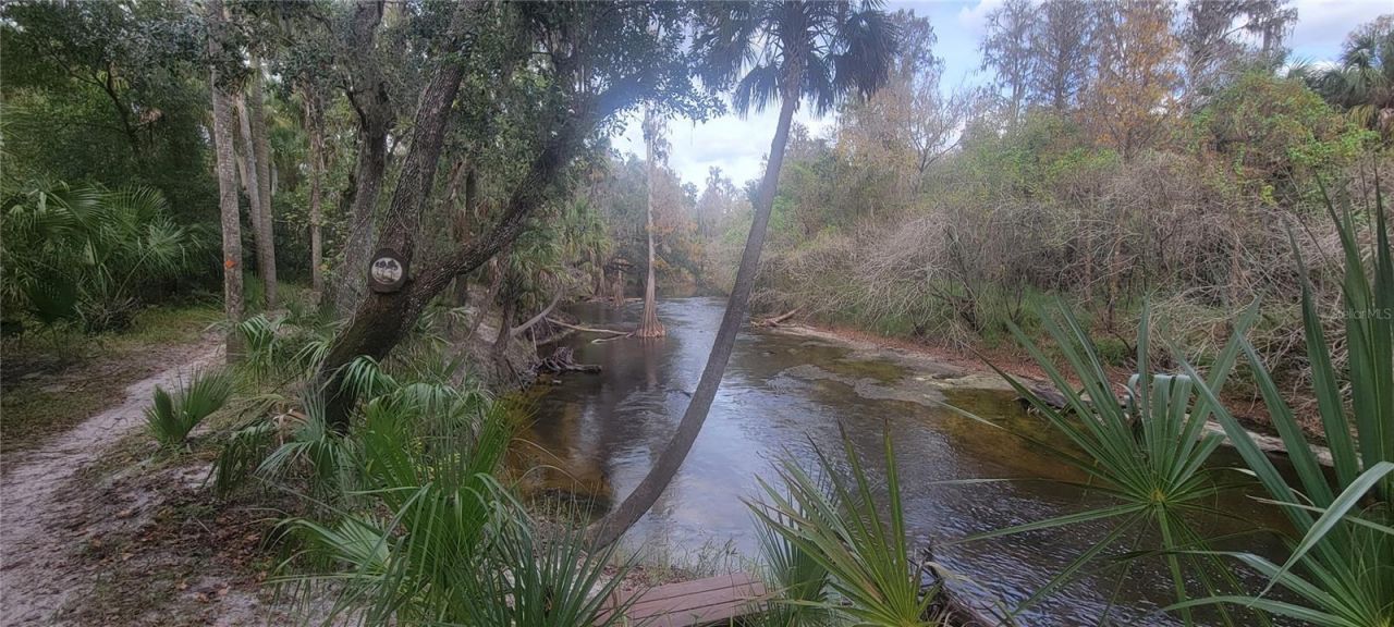 5201 Silverado Way , Valrico, FL 33596 Photo