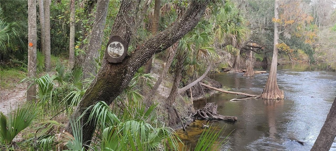 5201 Silverado Way , Valrico, FL 33596 Photo