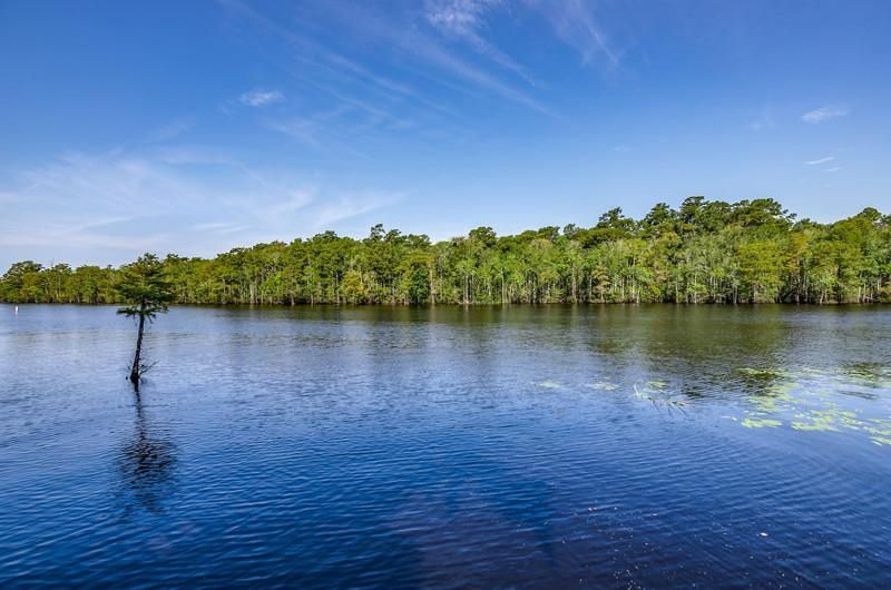 401 Rustic Ct. Photo 38