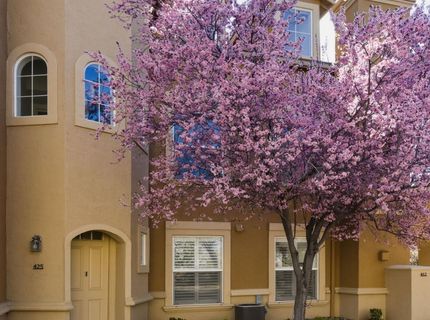 17000 Wedge Parkway, Unit 425, Reno, NV 89511 Photo