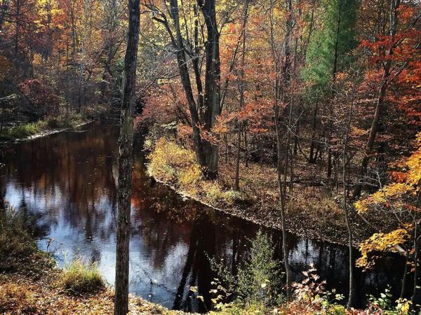 VL 105th Ave, South Haven, MI 49090