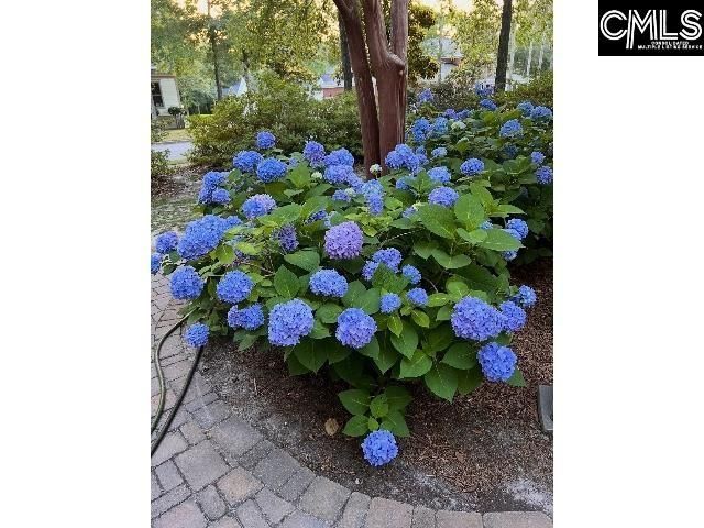 48 Veranda Lane  Photo 37