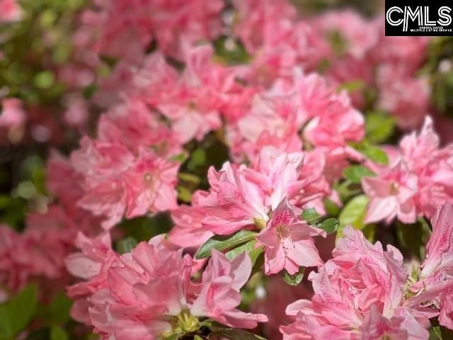 48 Veranda Lane  Photo 40