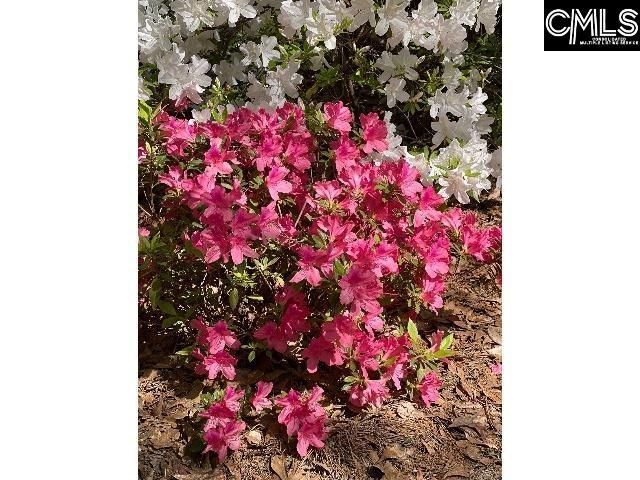 48 Veranda Lane  Photo 41