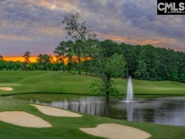 48 Veranda Lane  Photo 42