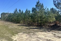 0 Catalina Boulevard  photo 4