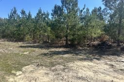 0 Catalina Boulevard  photo 4