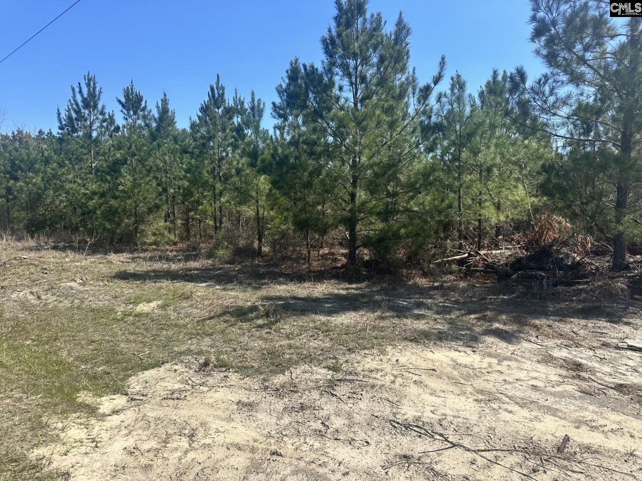 0 Catalina Boulevard  Photo 4