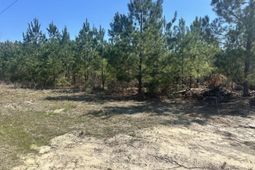 0 Catalina Boulevard  photo 4