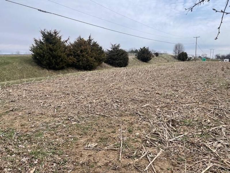 0 Hengstler Road, Wapakoneta, OH 45895 Photo 4