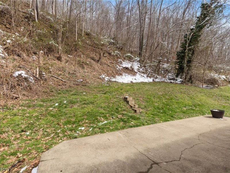 52736 Fisher Hill Road, Clarington, OH 43915 Photo 25