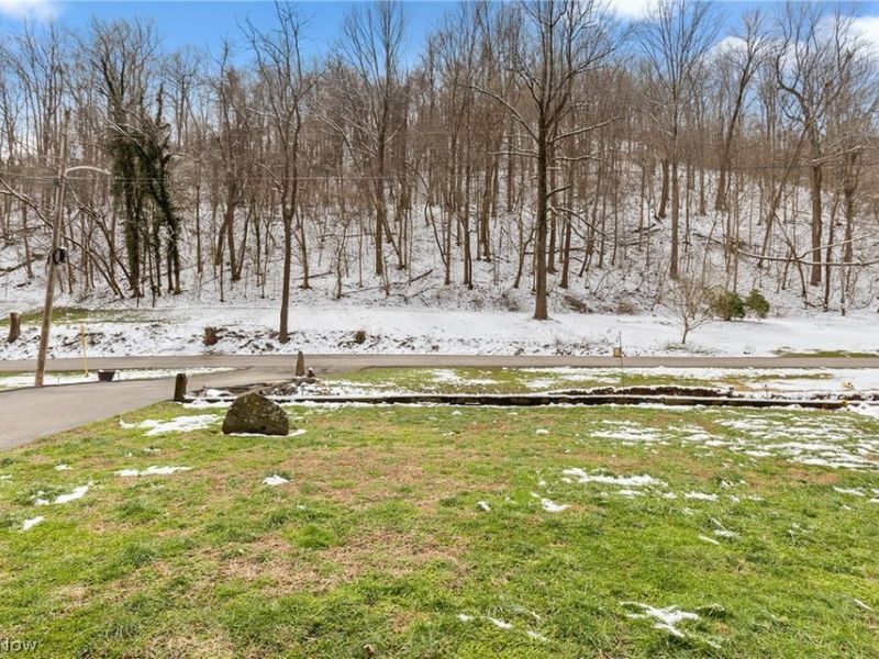 52736 Fisher Hill Road, Clarington, OH 43915 Photo 31