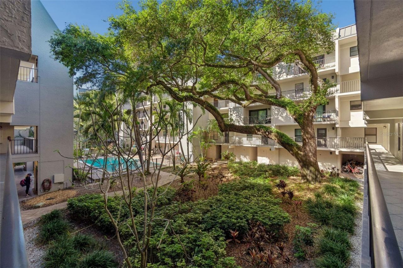 105 4th Avenue Ne, Unit 226, Saint Petersburg, FL 33701 Photo