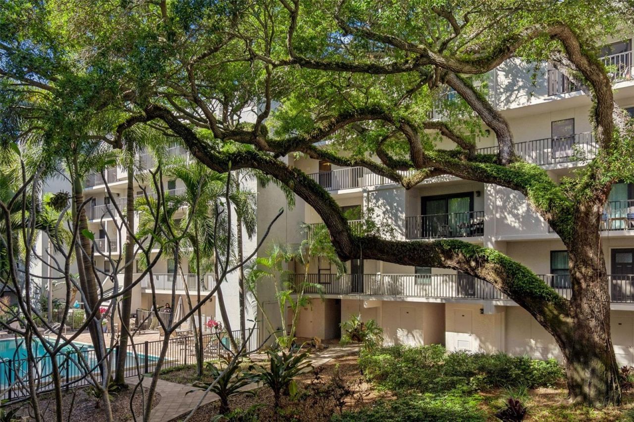 105 4th Avenue Ne, Unit 226, Saint Petersburg, FL 33701 Photo