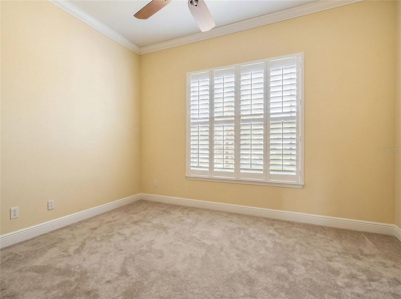 2101 N Pointe Alexis Drive, Tarpon Springs, FL 34689 Photo