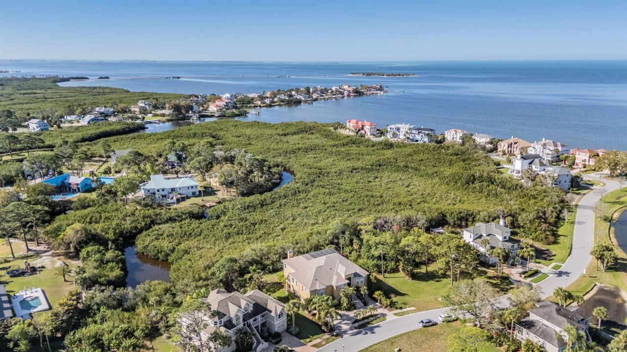 2101 N Pointe Alexis Drive, Tarpon Springs, FL 34689 Photo