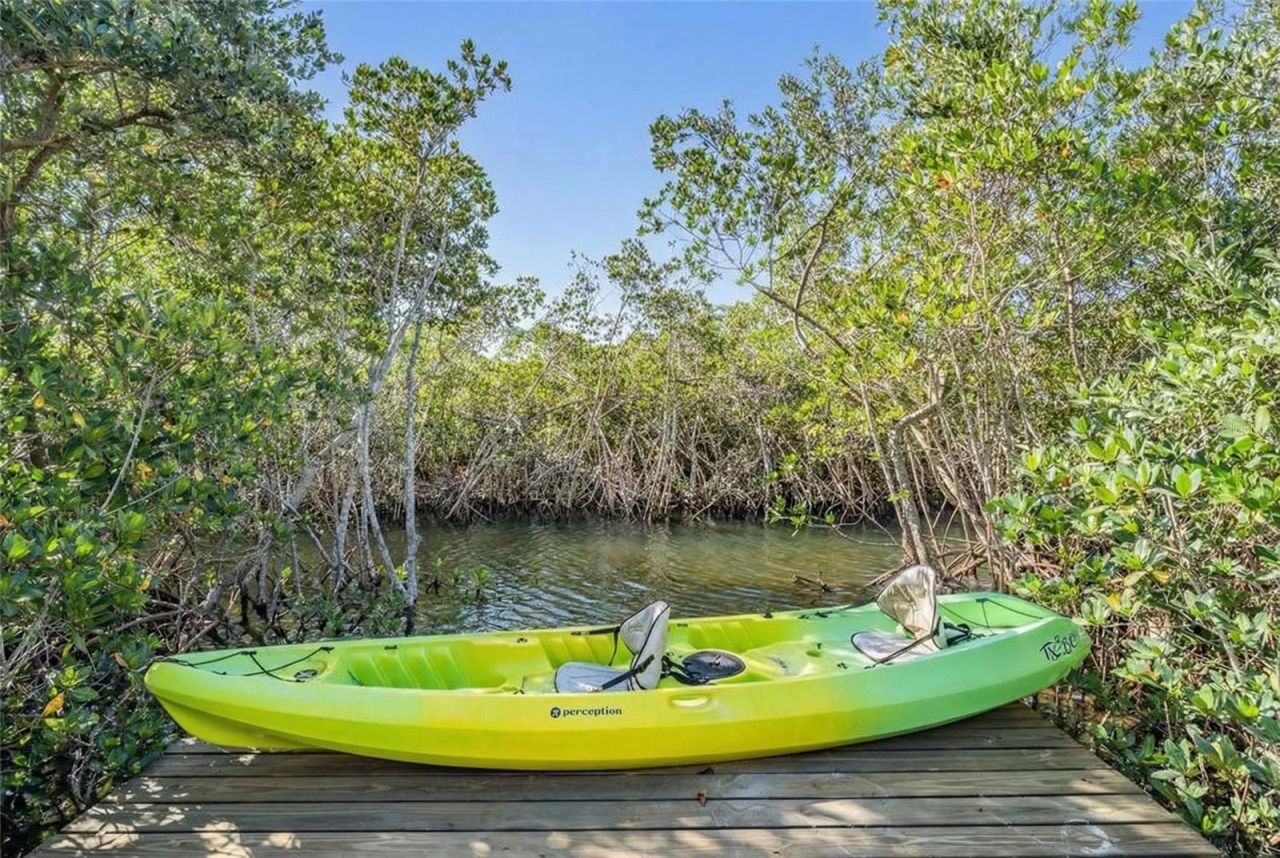 2101 N Pointe Alexis Drive, Tarpon Springs, FL 34689 Photo