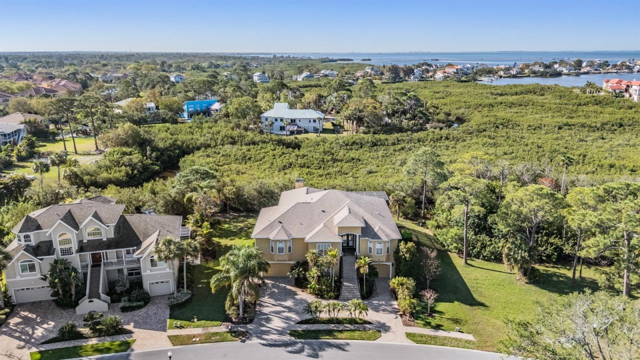 2101 N Pointe Alexis Drive, Tarpon Springs, FL 34689 Photo