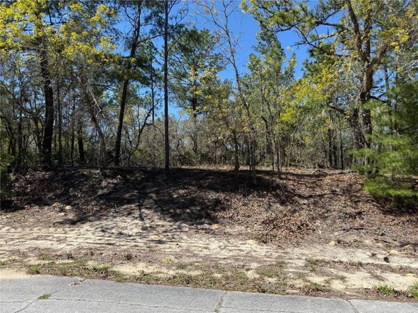 10776 N MORENO DRIVE , DUNNELLON, FL 34433