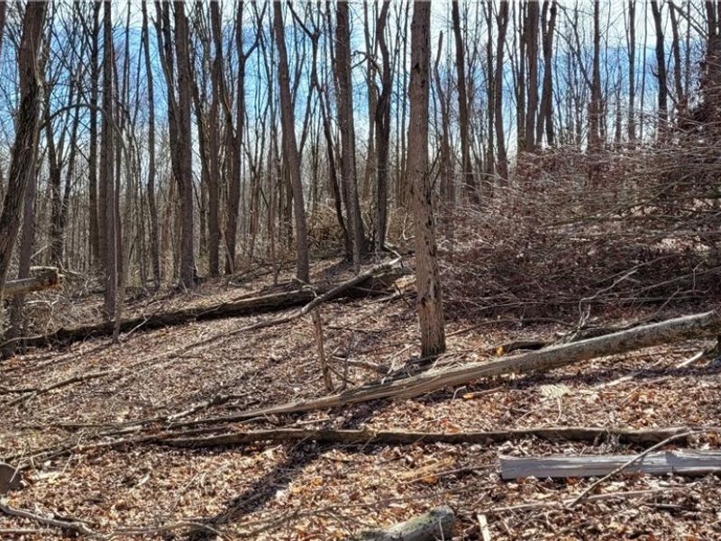 21776 State Route 79, Warsaw, OH 43844 Photo 10