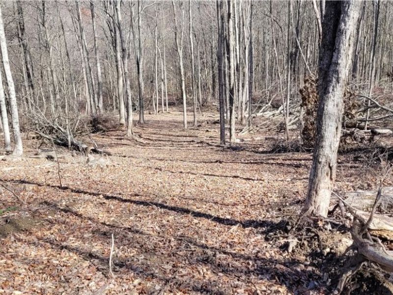 21776 State Route 79, Warsaw, OH 43844 Photo 11