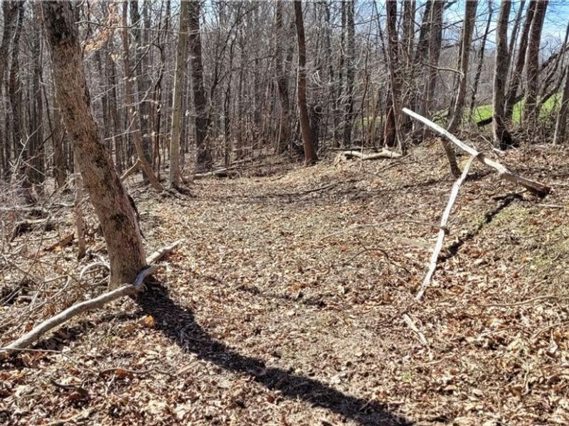 21776 State Route 79, Warsaw, OH 43844 Photo 14