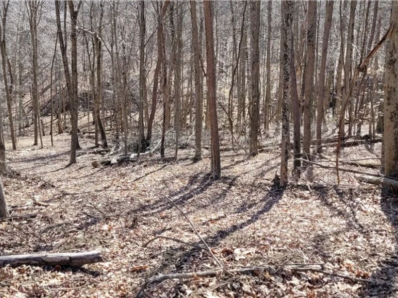 21776 State Route 79, Warsaw, OH 43844 Photo 15