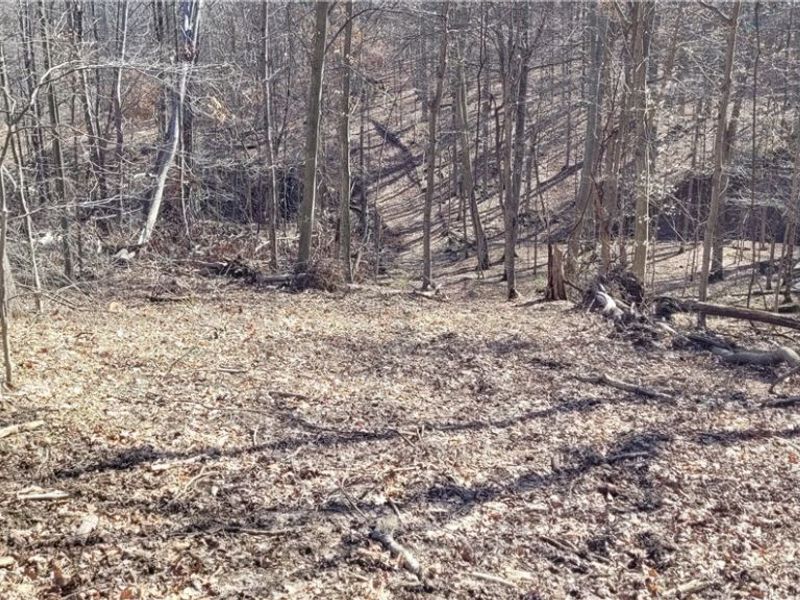 21776 State Route 79, Warsaw, OH 43844 Photo 16