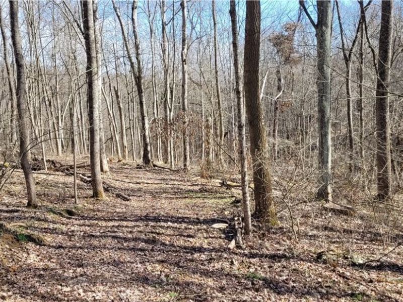 21776 State Route 79, Warsaw, OH 43844 Photo 22