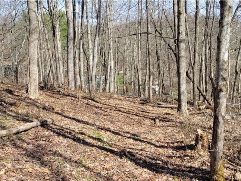 21776 State Route 79, Warsaw, OH 43844 Photo 23