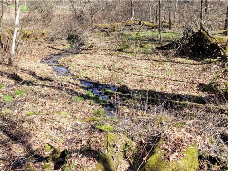 21776 State Route 79, Warsaw, OH 43844 Photo 24