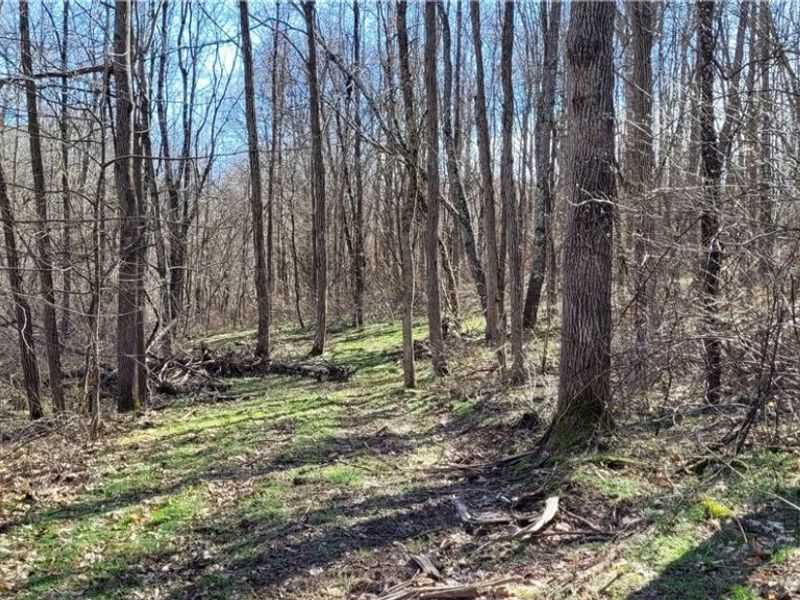 21776 State Route 79, Warsaw, OH 43844 Photo 28