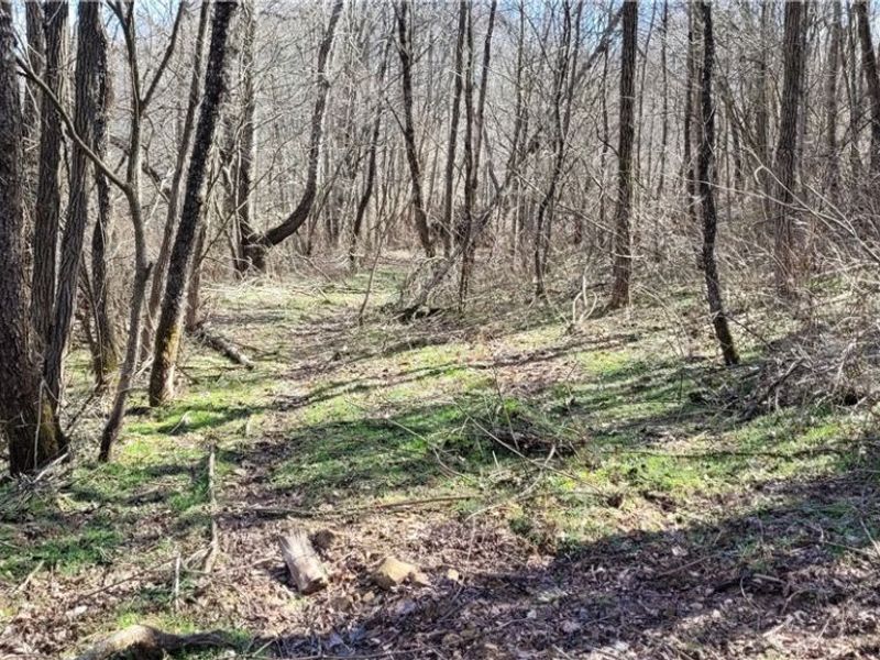 21776 State Route 79, Warsaw, OH 43844 Photo 30