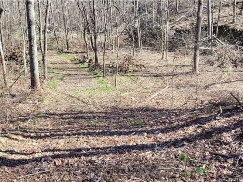 21776 State Route 79, Warsaw, OH 43844 Photo 36