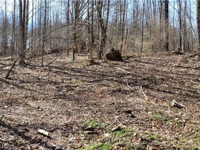 21776 State Route 79, Warsaw, OH 43844 Photo 37