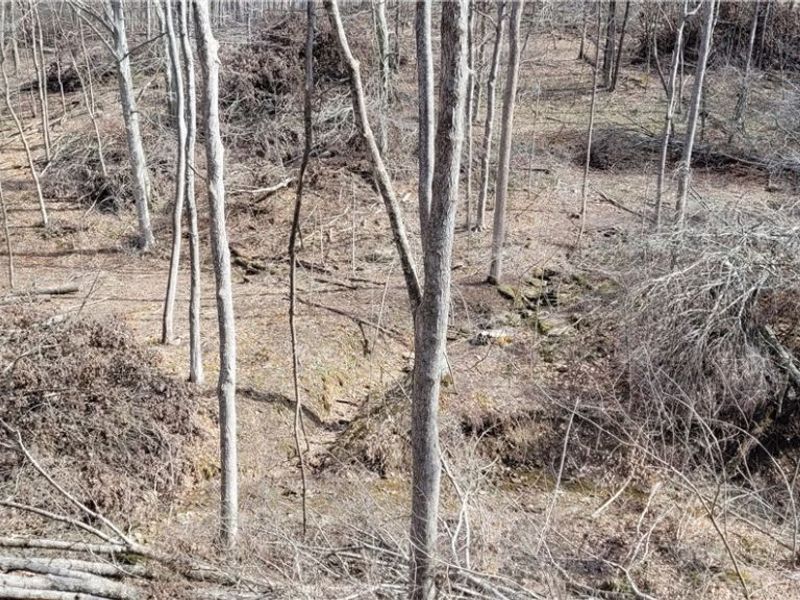 21776 State Route 79, Warsaw, OH 43844 Photo 43