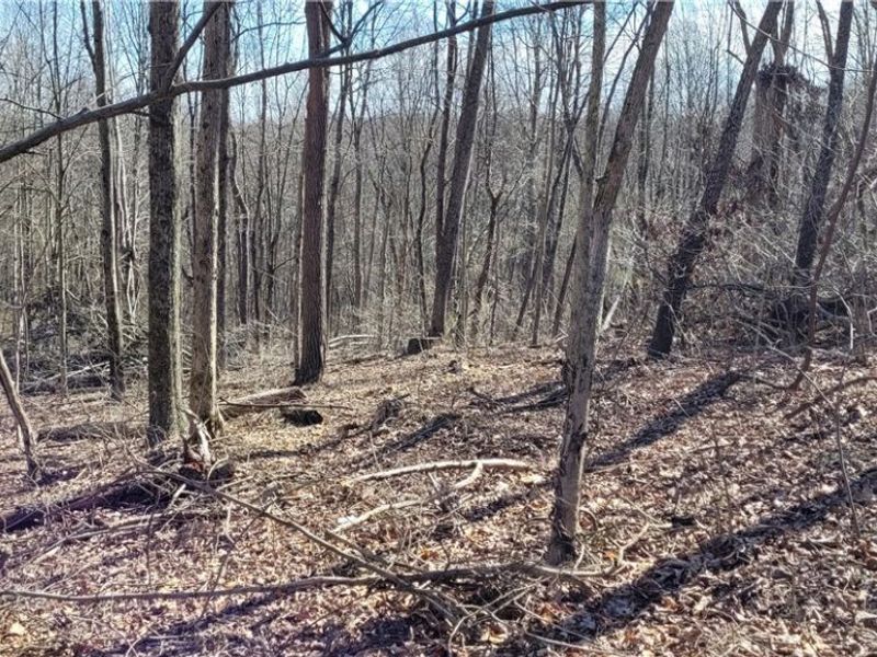 21776 State Route 79, Warsaw, OH 43844 Photo 12