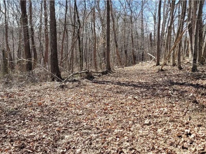 21776 State Route 79, Warsaw, OH 43844 Photo 13