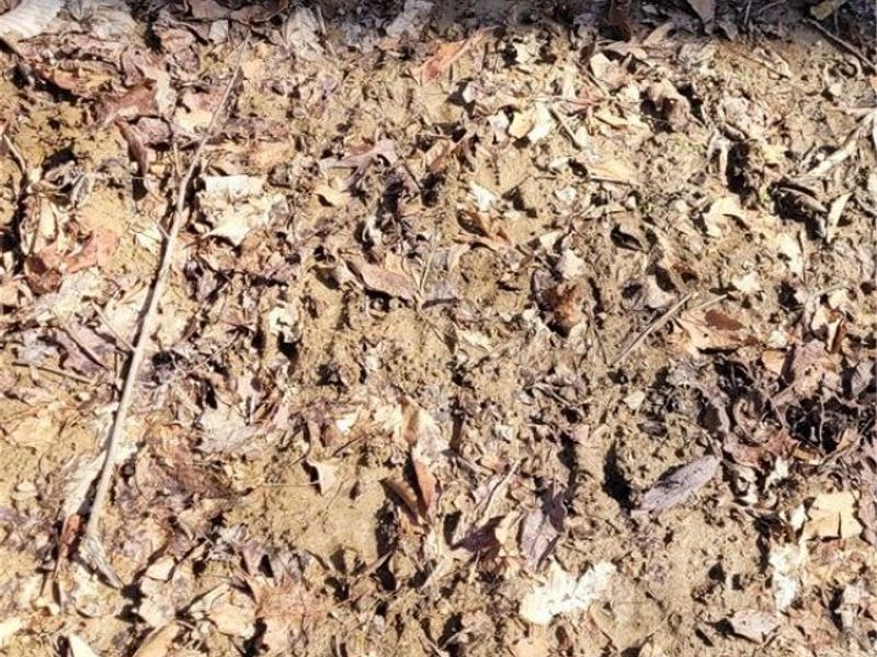 21776 State Route 79, Warsaw, OH 43844 Photo 17