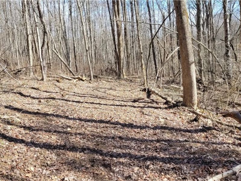 21776 State Route 79, Warsaw, OH 43844 Photo 18