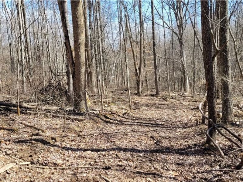 21776 State Route 79, Warsaw, OH 43844 Photo 19