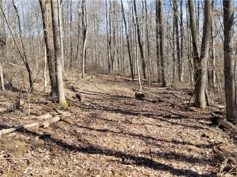 21776 State Route 79, Warsaw, OH 43844 Photo 20