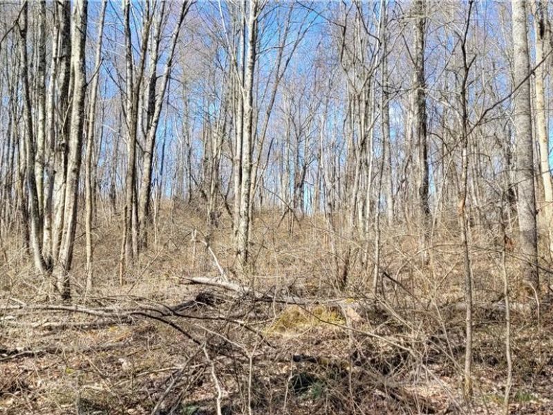 21776 State Route 79, Warsaw, OH 43844 Photo 21