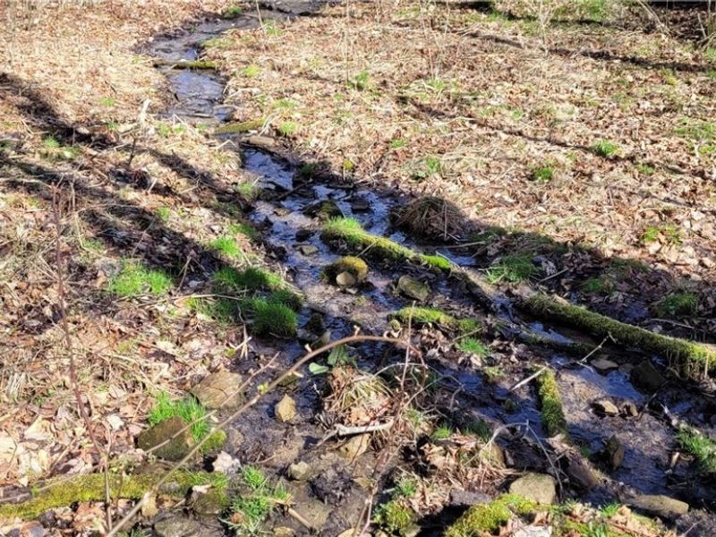 21776 State Route 79, Warsaw, OH 43844 Photo 25