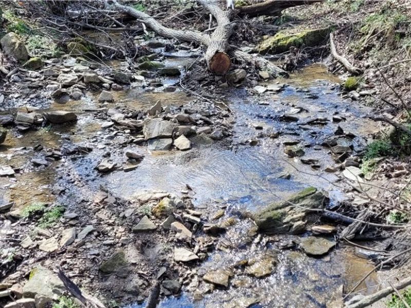 21776 State Route 79, Warsaw, OH 43844 Photo 26