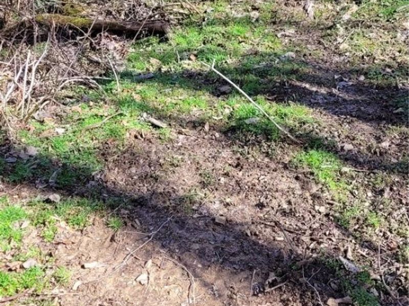 21776 State Route 79, Warsaw, OH 43844 Photo 27