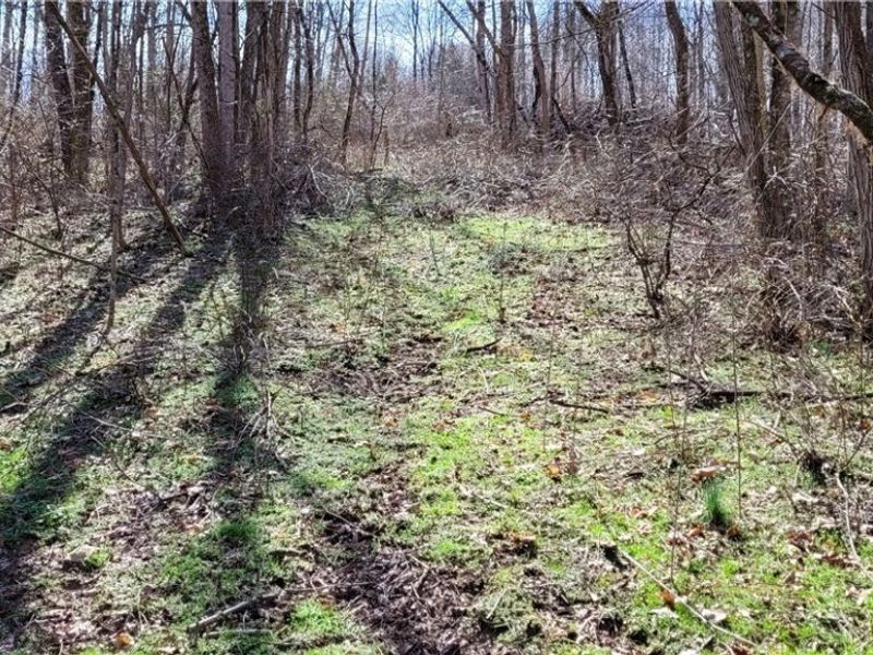 21776 State Route 79, Warsaw, OH 43844 Photo 29