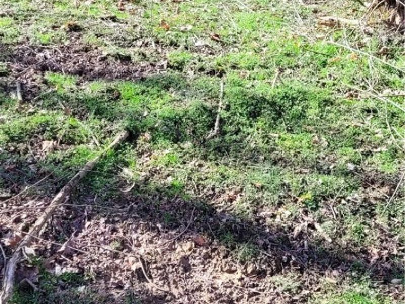 21776 State Route 79, Warsaw, OH 43844 Photo 31