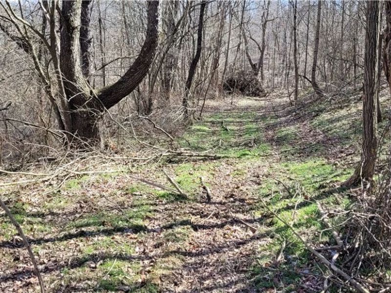 21776 State Route 79, Warsaw, OH 43844 Photo 32