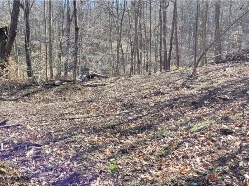 21776 State Route 79, Warsaw, OH 43844 Photo 35